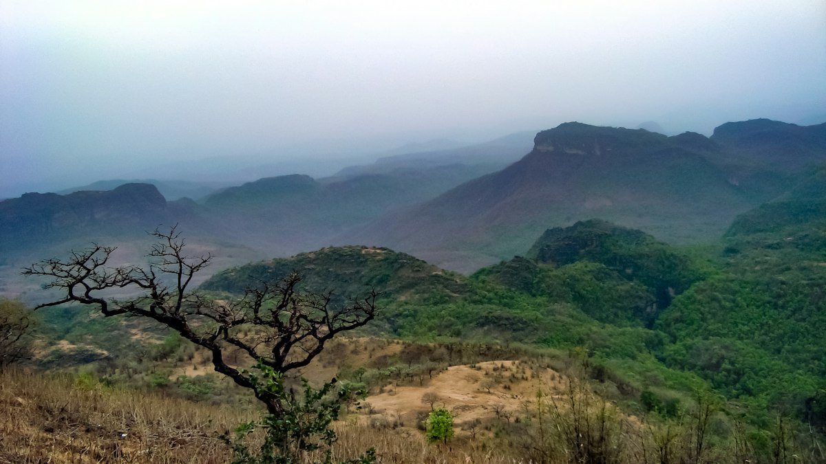 Forested hills of the Satpura range near Pachmarhi, Madhya Pradesh